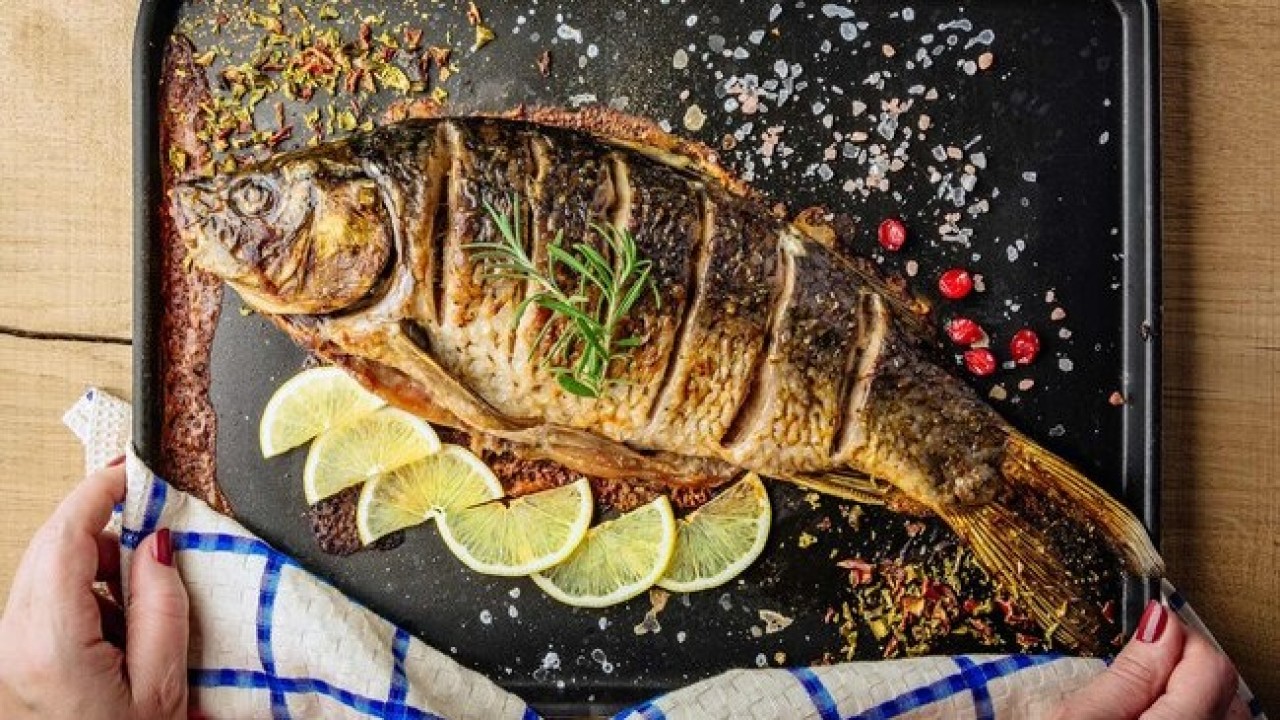 Best fish to eat in winter