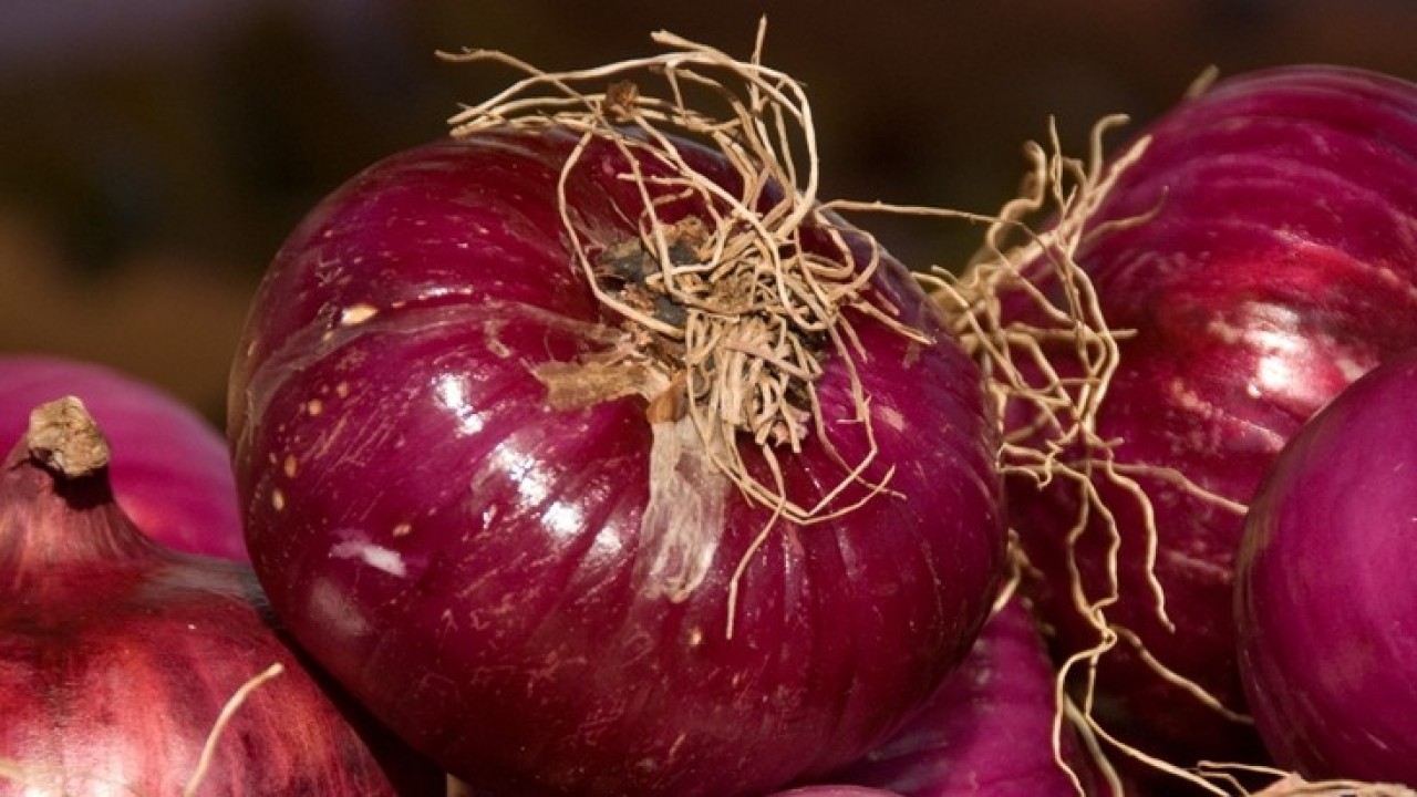 Onions - 9 Reasons You Must Consume Them!