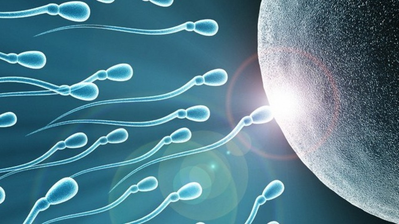 These 3 main causes of Azoospermia or Zero sperm count know how to Treat